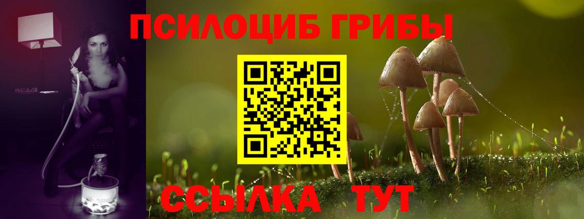 Галлюциногенные грибы Cubensis  Вход с VPN  Когалым 